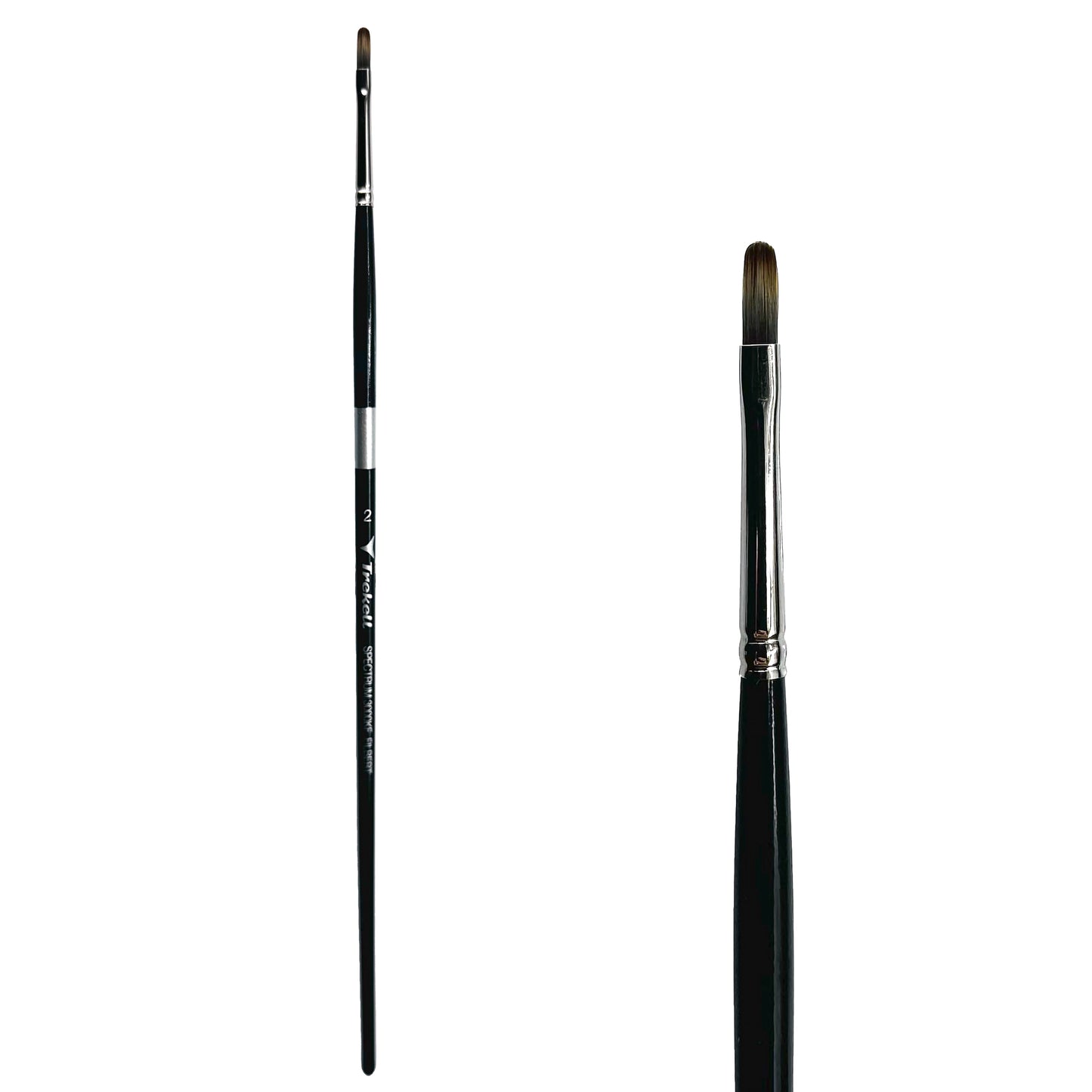 Trekell Spectrum Long Handle Artist Brush - Size #2 Filbert
