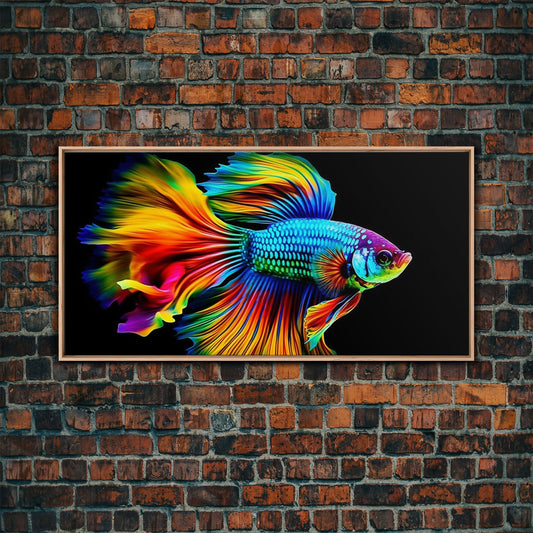 Colorful Fighting Fish Wall Art, Vibrant Wall Art, Animal Wal Art, Panoramic Wall Decor, Canvas Print, Wall Art, Framed Canvas Art