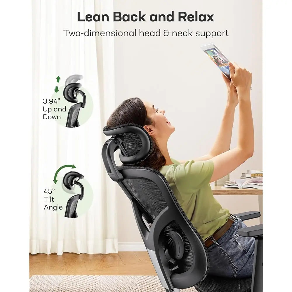 Ergonomic Mesh Office Chair: Mesh Computer Desk Chair with Adjustable Lumbar Support, 2D Headrest & up and down Armrest,