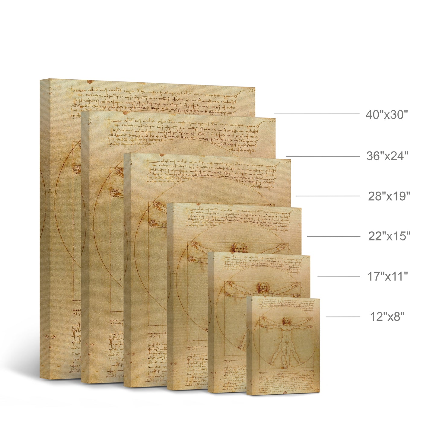 Vitruvian Man by Leonardo Da Vinci Canvas Wall Art Canvas Print Famous Art Painting Reproduction Fine Art Home Decor Ready to Hang- Made in USA- 36X24