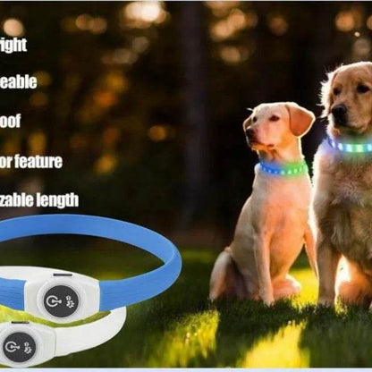 LED Waterproof Dog Collar for Night Safety and Visibility