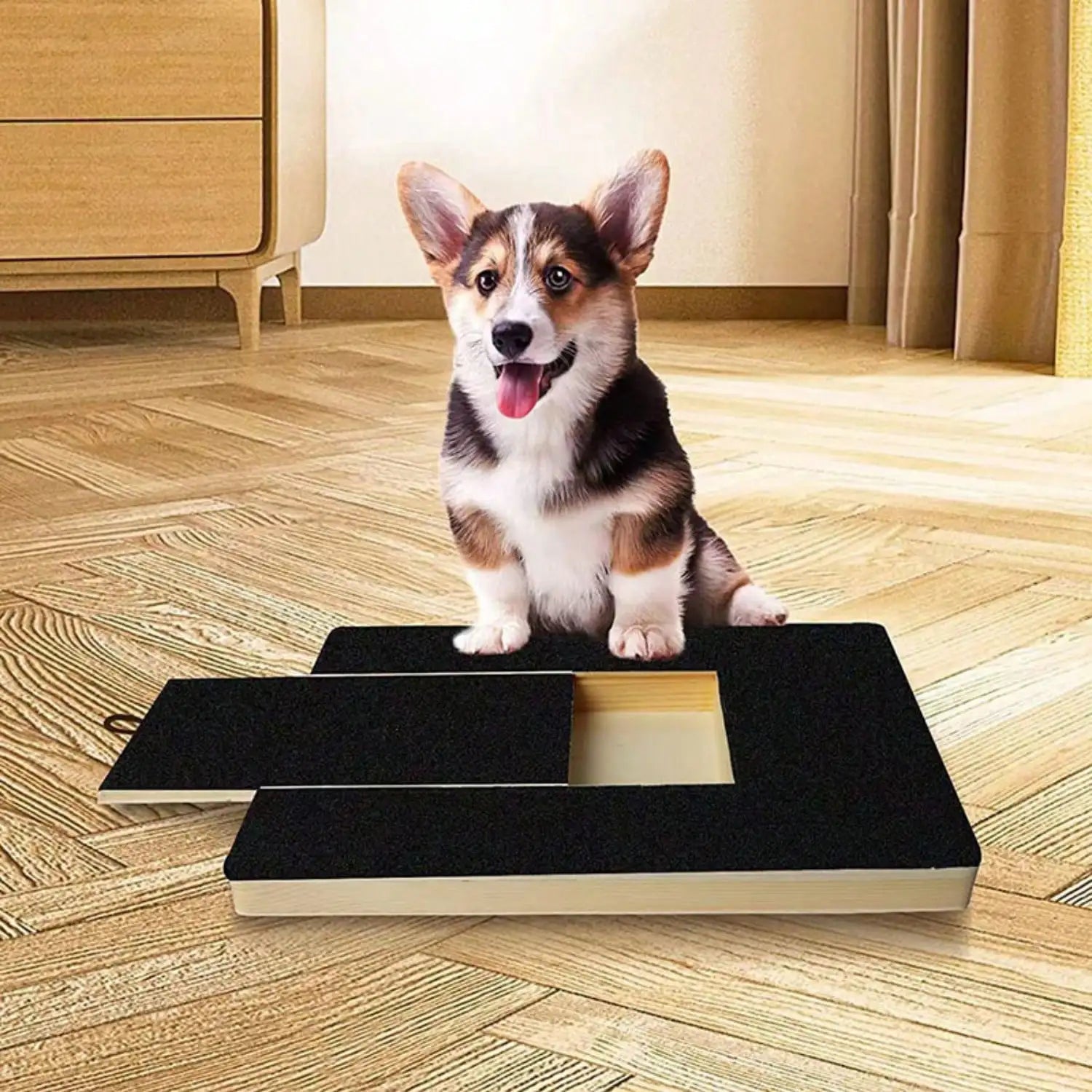 Nail Scratch Board Wood Scratch Pad for Nail Dogs with Treat Box Stress Free Dog Scratch Pad for Nails Nail File Board for Puppy