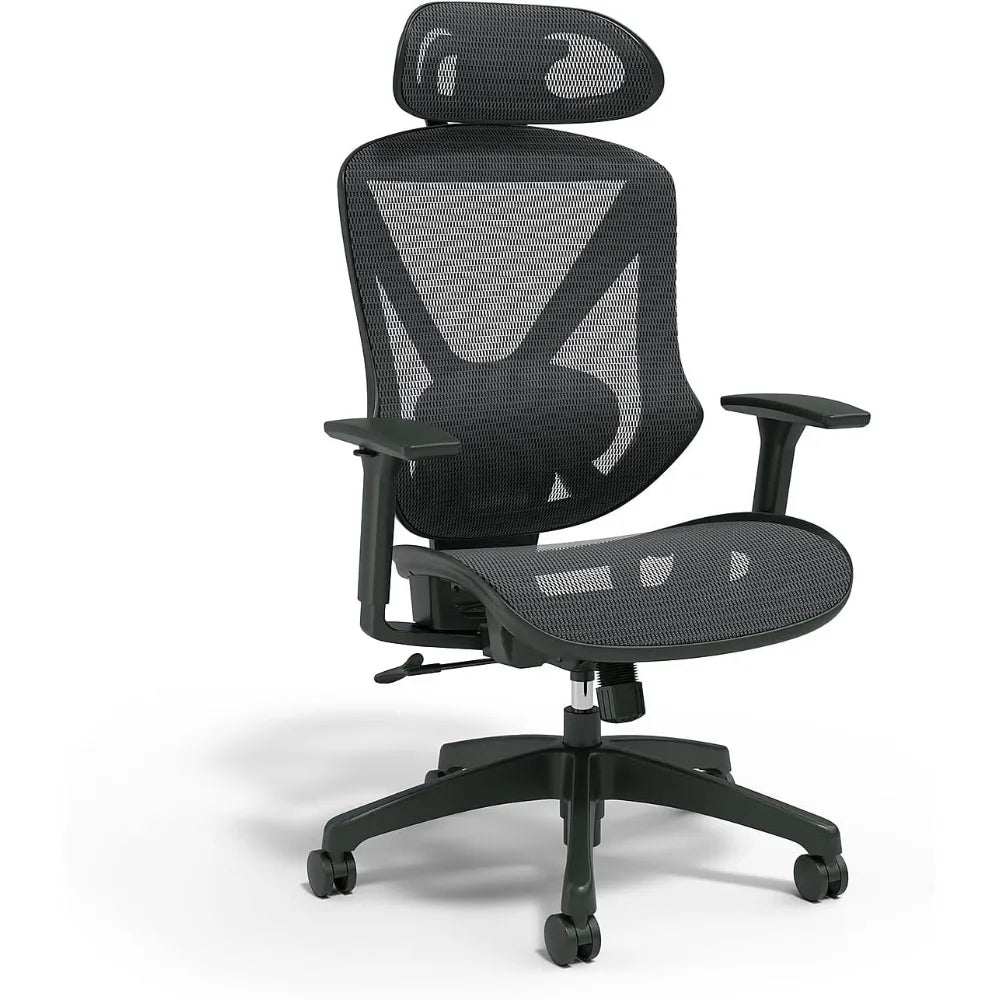 Dexley Ergonomic Mesh Swivel Task Chair, Black