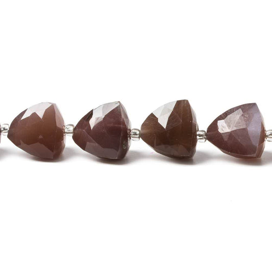 10mm Chocolate Moonstone faceted trillion beads 8 inch 18 pieces