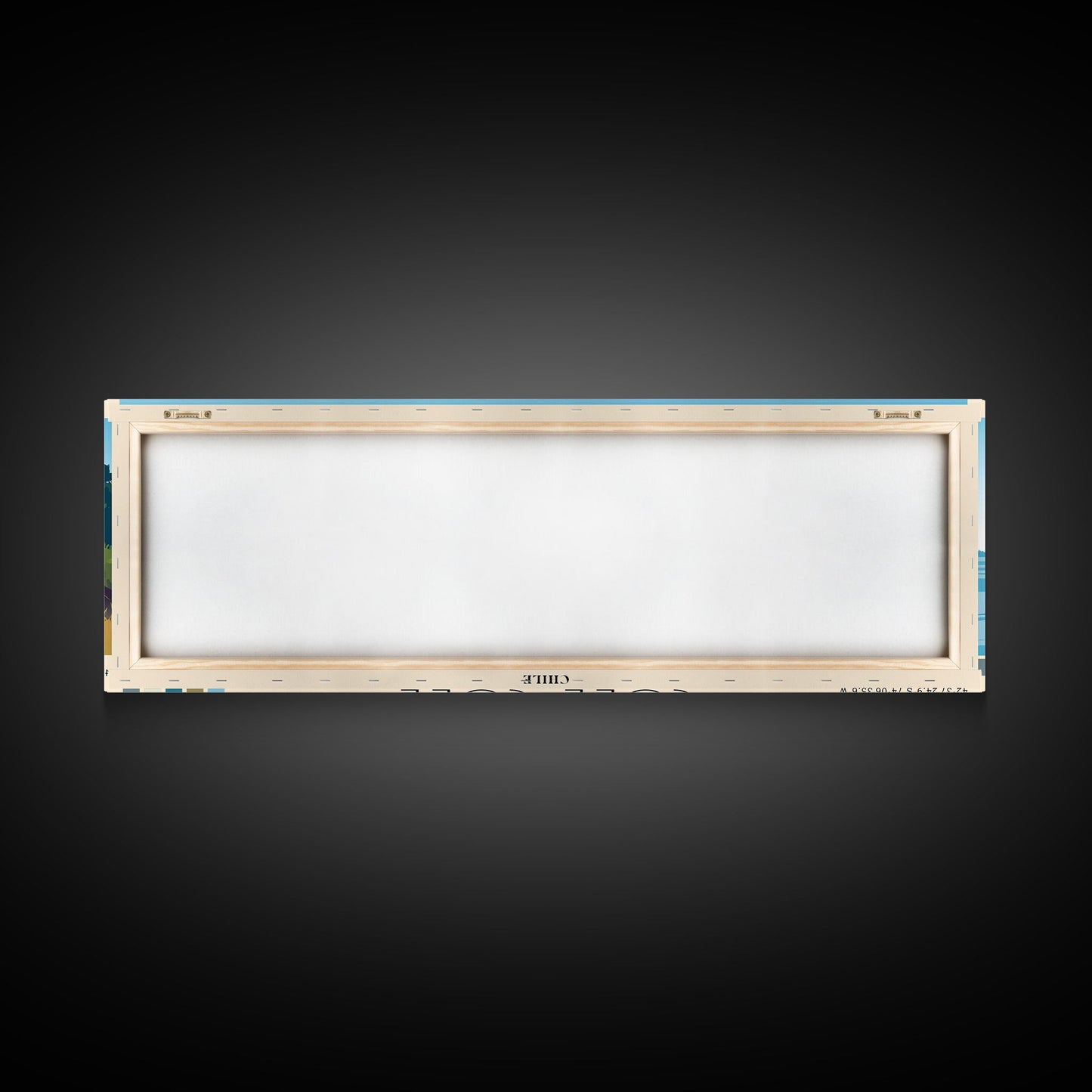 Cole Cole, Chile Panoramic Print, Vacation Gift, Chile Wall Art, Vacation Wall Art, Vacatation Memories, Beach Decor, Beach Or Lakehouse Art