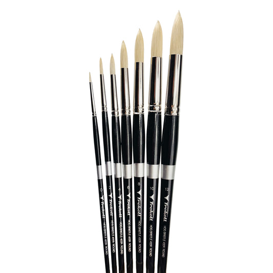 Trekell Hog Bristle Long Handle Artist Brush -Complete Set - Round