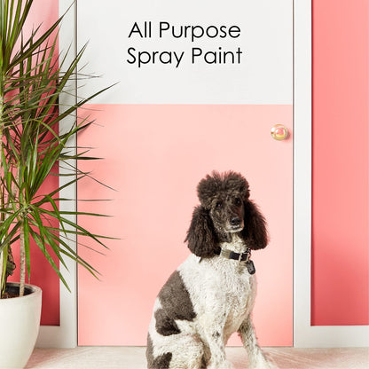 Krylon K05545007 Colormaxx Spray Paint and Primer for Indoor/Outdoor Use, Gloss