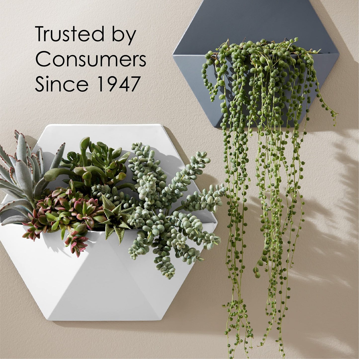 Krylon K05545007 Colormaxx Spray Paint and Primer for Indoor/Outdoor Use, Gloss