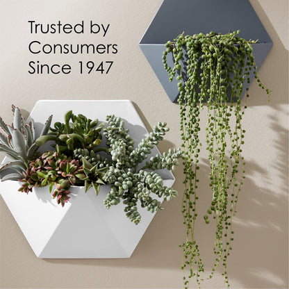 Krylon K05545007 Colormaxx Spray Paint and Primer for Indoor/Outdoor Use, Gloss